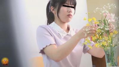 隠撮 清楚な女性のごっついうんこ