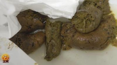 逆向き御対面オープンドアうんこ